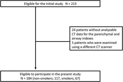 Relationships of computed tomography-based small vessel indices of the lungs with ventilation heterogeneity and high transfer coefficients in non-smokers with asthma